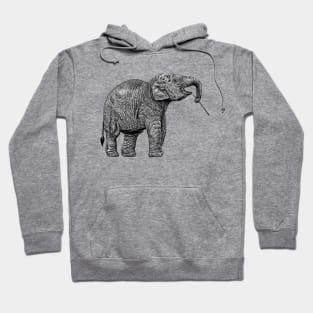 Baby Asian elephant Hoodie